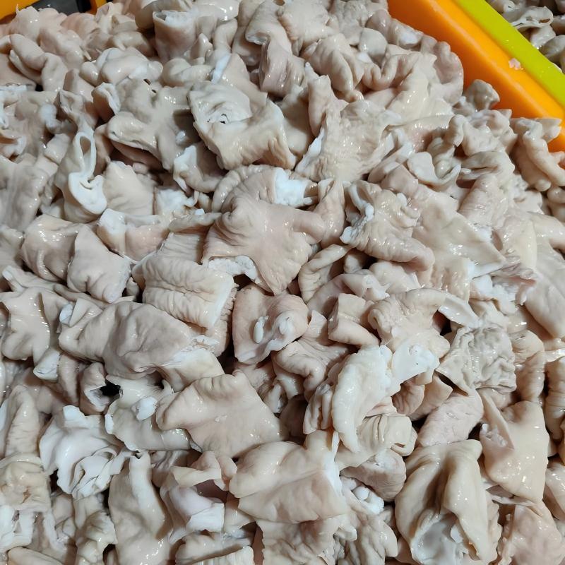 生鮮肥腸 生鮮肥腸